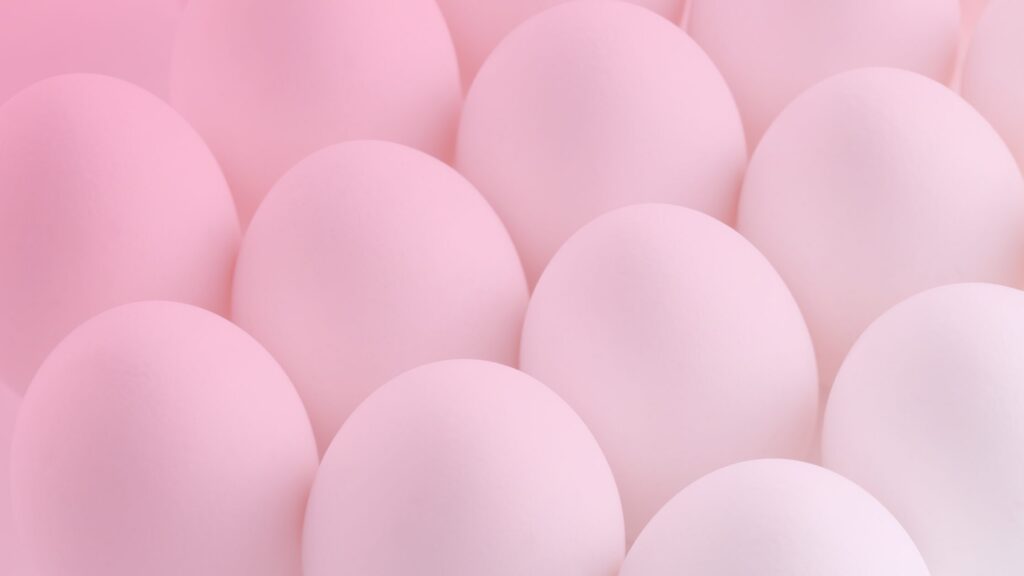 Munarakudoonorlus on teema, mille ümber liigub päris palju müüte. Sageli pärinevad need puudulikust infost või hirmust tundmatu ees. Tegelikkuses on munarakudoo